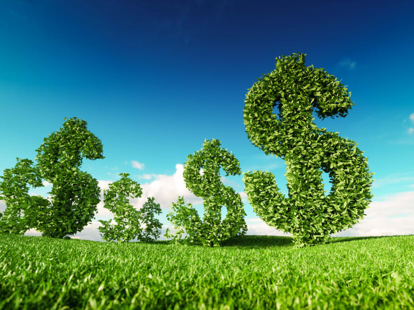 The Rise of Green Loans: Financing Sustainable Initiatives